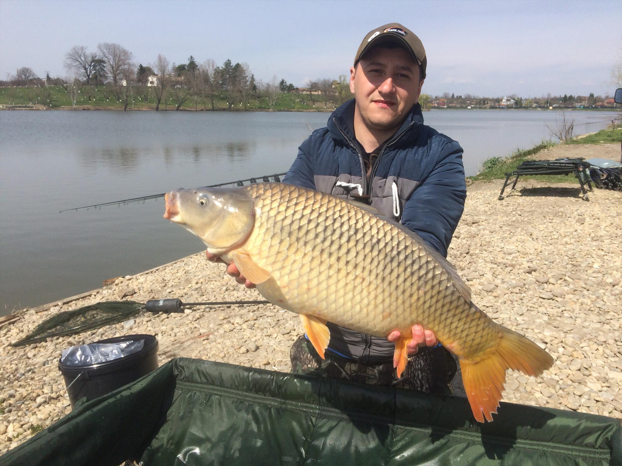 Hermes Peris 3 - 5 aprilie 2015 - image1111.jpg